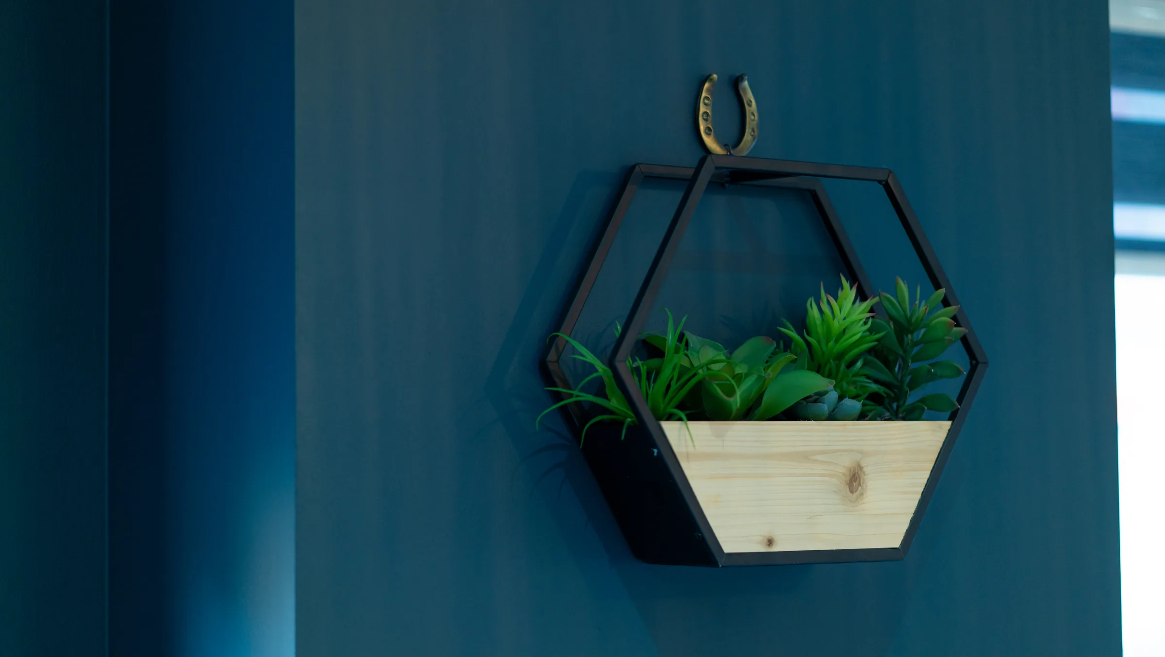 Wall planter with green plants on a deep blue wall at Hove Dental Clinic